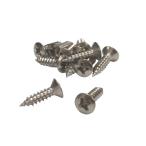[YJB PARTS] pick guard для винт мм размер 12 шт. входит . гитара детали гитара винт [ местного производства товар ] ( нержавеющая сталь )