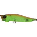 Jackson(ジャクソン) ポッパー R.A.ポップ 70mm 7g カッパ KAP ルアー