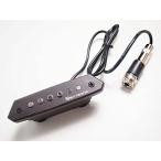 Skysonic/A-810akogi для passive pick up [ Sky Sonic ]