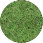  Platz /no ho . земля для пирог ru* стандартный * японский лето . Mix ( пирог ru длина 4.0mm)