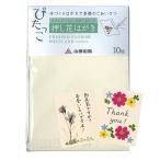  сон цвет цветок . засушенный цветок комплект засушенный цветок открытка комплект .... белый цвет ( итого 10 листов ) свободный изучение оригинал открытка маленький Цу японская бумага 