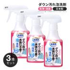 ダウン専用洗剤 3本セット ダウン汚れ 水洗い不要 泡洗剤 ダウン用洗剤 専用 業務用 スプレー 250ml 水のいらない洗剤 部分洗い 汚れ落とし 消臭 クリーニング