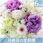 お供え 花 供花 定期便 月命日 空コース 6ヶ月 お悔やみ 生花 仏花 供養花 お花 ギフト 花束 フラワー アレンジ 季節の花 贈り物