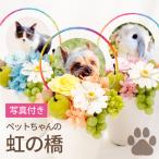 ショッピングメモリアル プリザーブドフラワー お供え 花 ペット 虹の橋  お悔やみ 枯れない花 お花 アレンジ 写真入り 犬 猫 仏花 仏壇用 供花 供養花 枕花 命日 お彼岸