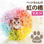 ペット  お供え 花 プリザーブドフラワー 虹の橋 リース エンジェル   送る 犬 猫 命日 お悔やみ 供養花 仏花 一周忌 三回忌 仏壇 法要 枯れない花