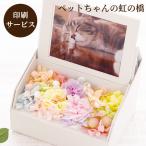 お供え 仏花 ペット 虹の橋 フォトボックス フォトフレーム プリザーブドフラワー 写真立て 犬 猫 お悔やみ お花 供花 仏壇用 仏花 供養花 贈り物 手元供養