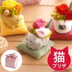 �� �a���� �v���[���g �̂�т�Ԃɂ�� �v���U �v���U�[�u�h�t�����[ �L�O�b�Y �M�t�g ���� �ސE�j�� 50�� 60�� �җ� �Ê� ��� �Ď��̂��j��