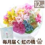 ペット お盆 初盆 新盆 お供え お悔やみ花 虹の橋 定期便 ふわふわコース 12か月 生花 月命日 お花 花束 アレンジ 供花 仏花 枕花 犬 猫 うさぎ 命日 贈り物