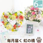 ペット お盆 初盆 新盆 お供え お悔やみ花 虹の橋 定期便 ふかふかコース 6か月 生花 月命日 アレンジメント 花束 供花 仏花 枕花 犬 猫 供養花 お花 贈り物