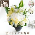 胡蝶蘭 お供え シルキーアレンジ アレンジメント 生花 花 供花 お悔やみ 枕花 仏花 電報 弔電 一周忌 49日 法要 贈り物