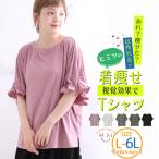 大きいサイズレディーストップス視覚...