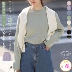 大きいサイズ レディース トップス 新色追加 Tシャツ感覚で着れる カメレオン級の着回しが叶う リブ ニット セーター ボーダー LL 3L 4L 5L 6L 秋 A