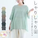 大きいサイズ レディース トップス Tシャツより涼しくてTシャツくらい気軽。「シャッT」 カットソー ブラウス チェック ストライプ 柄 LL 3L 4L A
