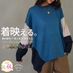 大きいサイズ レディース ニット 厚すぎないのが着やすい 配色デザイン 着映え ニット セーター トップス 3L 4L 5L 6L 長袖 冬 冬物 冬服 A