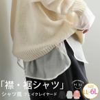 大きいサイズ レディース インナー お助けインナー レイヤード 付け襟 トップス 付け袖 プラスワン 重ね着風 LL 3L 4L 5L 6L 冬 冬物 冬服 A