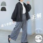 大きいサイズ レディース アウター シアー ブルゾン アウター ブルゾン LL 3L 4L 長袖 春 春物 春服 ぽっちゃり ゆったり プラスサイズ カジュアル 春