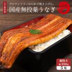 国産 無投薬うなぎ蒲焼き 超特大 約250g×5本 グルテンフリーのたれ プレゼント ギフト 誕生日 お祝い 贈答