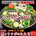 土佐沖日戻り鰹たたきウツボのたたき...