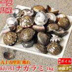 天然 ナガラミ (マイゴ) 1kg 砂抜き 幻の貝 九十九里浜産 ギフト 誕生日