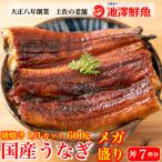 国産 蒲焼き 特大うなぎ メガ盛り 1/3カット 600gセット 6〜8人前