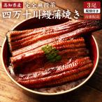 四万十川 うなぎ 蒲焼き 国産 高知県産 3尾 無投薬 プレゼント ギフト 誕生日 お祝い 贈答