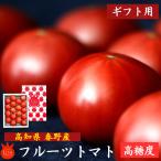 トマト フルーツトマト 高知県産 高濃度 おかざき農園 約1kg 高級 贈り物 ギフト用