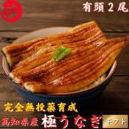 ショッピングうなぎ 高知県産 うなぎ 蒲焼き 国産 2尾 完全無投薬 仁淀川 誕生日 ギフト 贈答