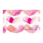 MODERN AGE TOKYO 2 саше ×3 листов Romantic. останавливаться .. нет SACHET современный eiji Tokyo two 