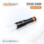  дайвинг подводный свет ORCATORCHoru Kato chiD530-5000 природа свет 5000K