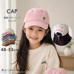 �X�q �L�b�Y �L���b�v ���[�v �R�[�h �h�J �J�W���A�� �i�`������ �j�̎q ���̎q ���j�Z�b�N�X �I�[���V�[�Y�� ���悯 ���Ă��h�~