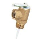 RARITAN温水器リペアパーツセーフティバルブ(3/4インチ) 75psi　※特別送料