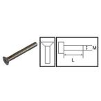 ��Ƭ���ͥ�(SUS304)M5��L50