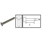 �ݻ�Ƭ���ͥ�(SUS304)M5��L40