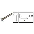 �ȥ饹Ƭ���ͥ�(SUS304)M6��L50