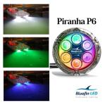 LED �ܡ��ȥ饤�ȡ�Piranha P6CC ���顼�����󥸥�ǥ롡12V/24Vξ�б�