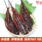 ［送料無料］［代引き不可］伊豆産 高級 伊勢海老 活冷 1kg 7-8匹 伊豆 下田 冷凍 伊勢エビ イセエビ 生きたまま冷凍 お取り寄せ