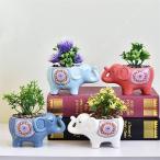 置物 オブジェ 植木鉢 ゾウ 象 陶器 セラミック製 母の日 ガーデニングオブジェ 鉢植え フラワープランター 多肉植物 サボテン ミニ プランター おしゃれ