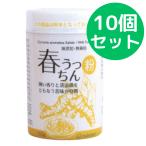 春うっちん粉 100g 仲善 10個セット 
