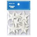 刺繍 ワッペン 星 アップリケ シルバー スター 10個セット アイロン接着