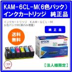 【法人様限定】エプソン　インクカートリッジ　カメ　６色パックＭ（黒のみ増量）　ＫＡＭ−６ＣＬ−Ｍ　１箱（６個：各色１個）
