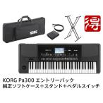 KORG Pa300 вход упаковка [ рассылка классификация I][.P-3]