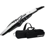 Roland Aerophone AE-20 Wind синтезатор [ рассылка классификация E]
