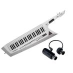 Roland AX-EDGE-W + MIDI интерфейс KORG BM-1 комплект плечо клавиатура 