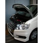 ホンダ：ステップワゴンスパーダ　Zグレード［RK5］シルバーカーボン