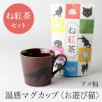 �����}�O�J�b�v ���V�єL ���F �����}�O�Ƃˍg�� �M�t�g�Z�b�g �y�ۃ����� �F���ς��}�O�J�b�v ���킢�� ���蕨 �z�g��