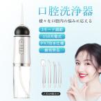 口腔洗浄器 口内洗浄機 ジェットウォッシャー 歯間洗浄機 歯垢除去 超音波 電動 ジェットフロス コンパクト usb充電式 歯磨き 歯周病予防
