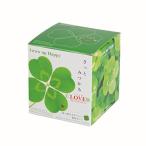 きっとみつかる四つ葉のクローバー栽培セット