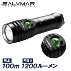 Salvimar FIRELED подводный свет дайвинг 1200 люмен водонепроницаемый 100m с зарядным устройством .