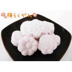  слива .... дагаси прошлое ..... слива твердые конфетки рагуган ...... слива японские сладости японские сладости 