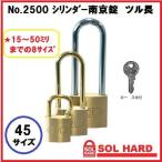 SOL HARD ϡ ĥĹظ㤤No.2500 45